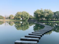 -上海佘山世茂艾美酒店