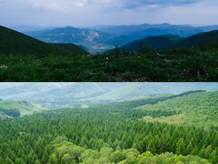 -百里天路