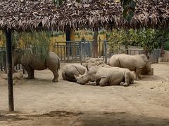 -西安秦岭野生动物园
