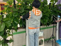 -佛山复星禅诚医院