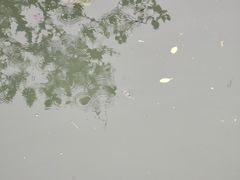 -北海金海湾红树林生态旅游区