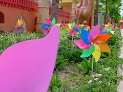 -南宫五洲植物乐园