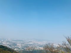-紫金山索道-售票处