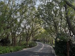 -同里国家湿地公园
