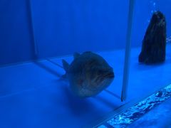 -怡咖啡·自助餐·西安香格里拉