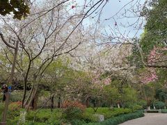 -杭州半山国家森林公园