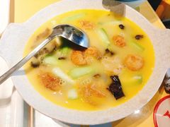 -素虎小呆鸟(西二旗店)