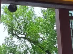 -南华禅寺