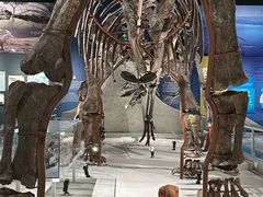 -国家自然博物馆