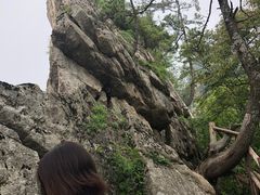 -王顺山国家森林公园