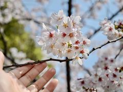 -苏州上方山国家森林公园