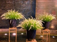 -广州富力君悦大酒店·凯菲厅