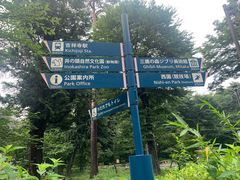 -三鹰之森吉卜力美术馆