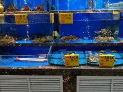 -河马鲜生海鲜超市(风荷园店)