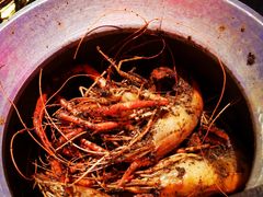-钳真多钓虾馆·小龙虾海鲜烧烤(九六广场店)