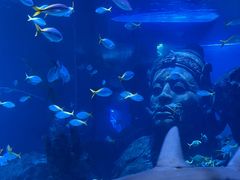 -暹罗海洋世界