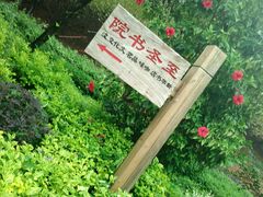 -金鸡山公园