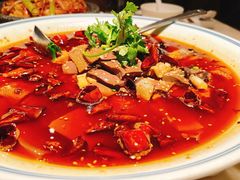 -新梅华餐厅(星悦汇店)