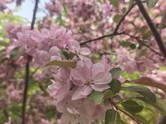 -元大都城垣遗址公园