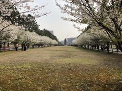 -同济大学(嘉定校区)