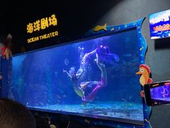 -郑州海洋馆