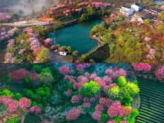 -西湖文化广场
