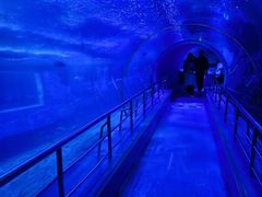 -太平洋海底世界