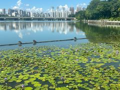 -南宁南湖公园