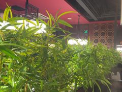 -山城辣妹子(定福庄店)