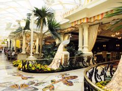 -拉斯维加斯永利酒店