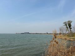 -漕湖湿地公园