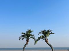 -巧克力渔家.小船海鲜家常菜(万平口店)