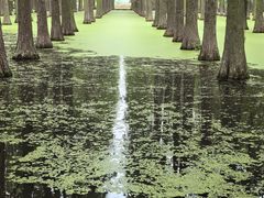 -渌洋湖湿地公园