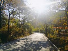 -丹东市五龙山风景区