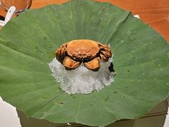-觀芷隐轩