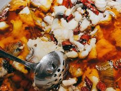 -雲蜀龙阁·金牌水煮鱼(方庄店)