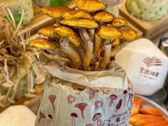 -烹然四季椰子鸡火锅(团结湖总店)