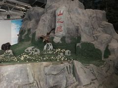 -吉林省自然博物馆