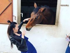 -松声马术俱乐部