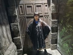 -暴风岛沉浸式体验馆(百联世纪店)