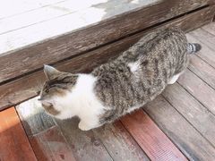 -IFIF 如果花園(宽厚里店)