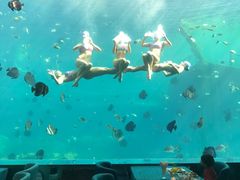 -瑞德姆美人鱼海底演艺主题餐厅(亚龙湾店)