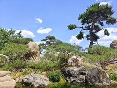 -罗红摄影艺术馆