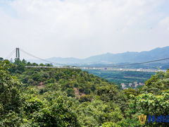 -南丹山森林王国