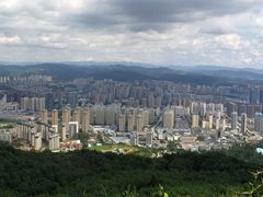 -长虫山生态公园风景林