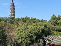 -顺峰山公园