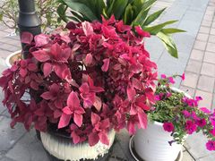 -首创奥特莱斯(昆山店)