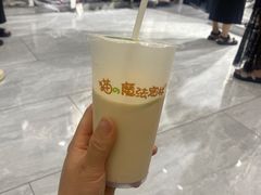 -猫的魔法密林(衣裳街店)