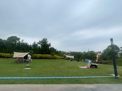 -春花秋色城市公园