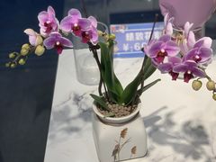 -花未央花店·WEYOUNG